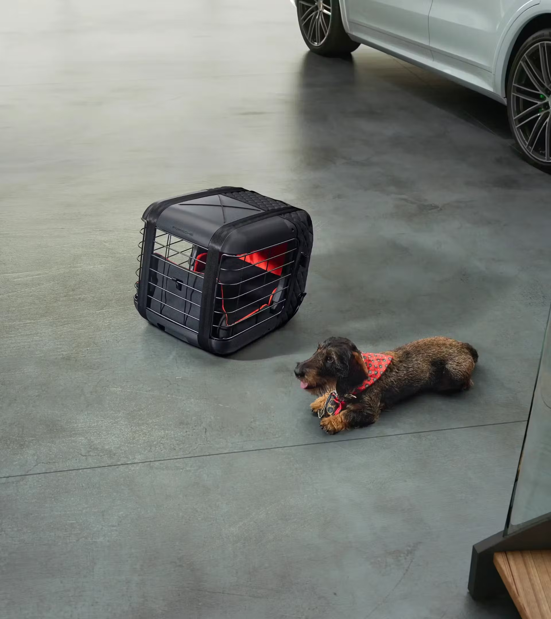 Porsche 9Y0044890A - Cage de transport pour chiens
