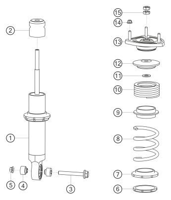 500-005 - suspension strut rear
